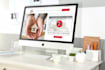 create a professional wordpress website or wordpress design