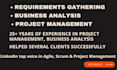 do requirements gathering, business analysis, IT project management