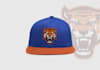 design snapback , cap unique design