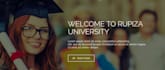 design professional responsive vue js single page website