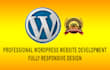 build, install, fix and customize your wordpress website