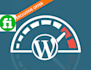 speedup wordpress  speed up
