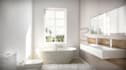 create a combo package including 2 renderings of your design