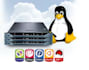 setup linux server, cpanel, apache, lightspeed, server optimization and security