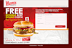 create a PROFESSIONAL Squeeze or Landing Page for your Wordpress or any website