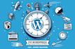 fix wordpress bugs, issues, errors in 24 hours