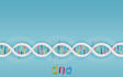 design powerpoint presentations of biology topics