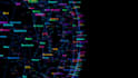 do infographics, patterns, custom animation