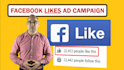 run a facebook ad campaign to grow page likes