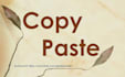 copy paste to excel
