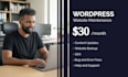 do wordpress website maintenance