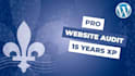 audit your website and send a detailed report