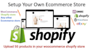 create fully functional drop shipping website