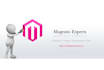 expert magento 2  developer