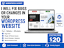 fix bugs or make changes in your wordpress website