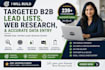 build targeted b2b lead lists, web research, and accurate data entry
