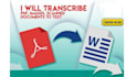 provide expert PDF to word conversion services