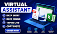 do data entry, web research, excel, admin support work, email support