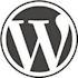 fix the wordpress websites bugs