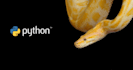 do python implementation and django website development