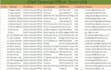 provide b2b lead generation