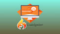 develop professional website or fixed issue in codeigniter