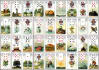 do a psychic reading by using lenormand card