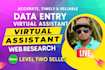 be your timely virtual assistant for data entry, excel data cleaning