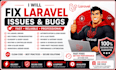 fix laravel issues and bugs