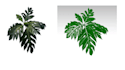 create 3d model from images