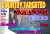 drive country targeted organic website visitors