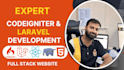 develop, fix or customize your codeigniter PHP web application