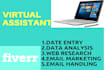 be the virtual assistant