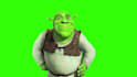edit you a video where shrek dances
