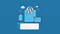 do wordpress installation and wordpress customization