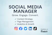 be the social media manager for your brand or business