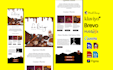 set up, manage and optimize your mailchimp email campaigns