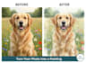 turn your photo into a digital painting