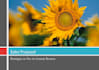 do your slide presentation using MS PowerPoint