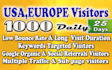 drive USA europe organic web traffic