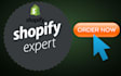 install or customize your shopify web store