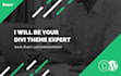 be your divi theme expert