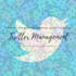 manage your monthly twitter promotion