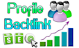 create 100 high quality profile backlink