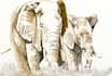 draw watercolor illustration style