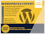 do fix wordpress, theme issues or wordpress customization