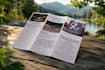 professional tri fold brochure design, custom high quality