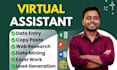 do data entry, copy paste, web research, excel data entry, admin support work