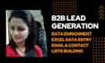 do 3 hours data entry in excel, data enrichment and b2b lead generation