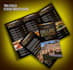 design professional trifold brochure and illustrate work